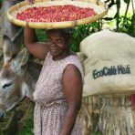 Haitian Ranquitte Coffee
