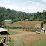Ethiopian Yirgacheffe Coffee