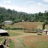 Ethiopian Yirgacheffe Coffee